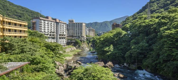 LiVE MAX度假区 川俣温泉 ANNEX(Livemax Resort Kawamata Onsen　ANNEX)图片