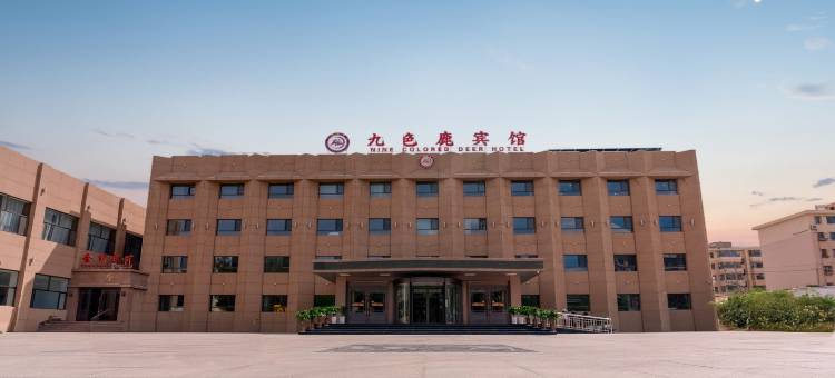 敦煌九色鹿宾馆(敦煌夜市店)图片
