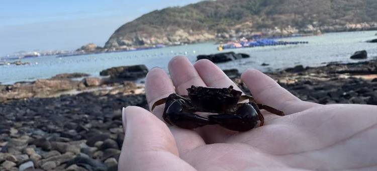 禧见山海民宿(奇达旗冠顶店)图片