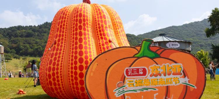 观山宿民宿(云端草原店)图片