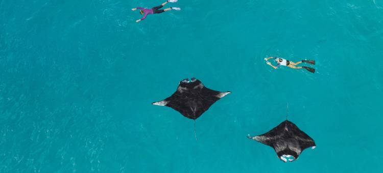 马尔代夫米兰胡岛威斯汀度假酒店(The Westin Maldives Miriandhoo Resort)图片