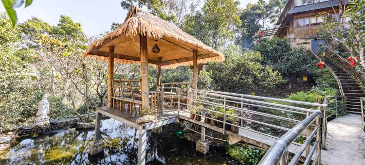 雨林民宿(西双版纳勐海店)图片