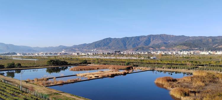 澄江屿岸客栈图片