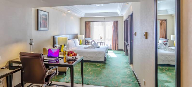 国际艺苑大酒店图片