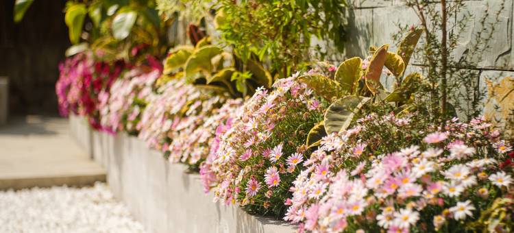 花筑·西昌惜今民宿(大石板古村店)图片