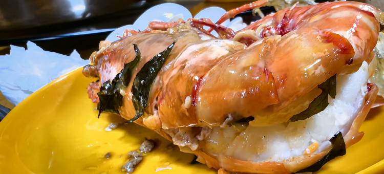 古达天河星际度假村(STARHOUSE)图片