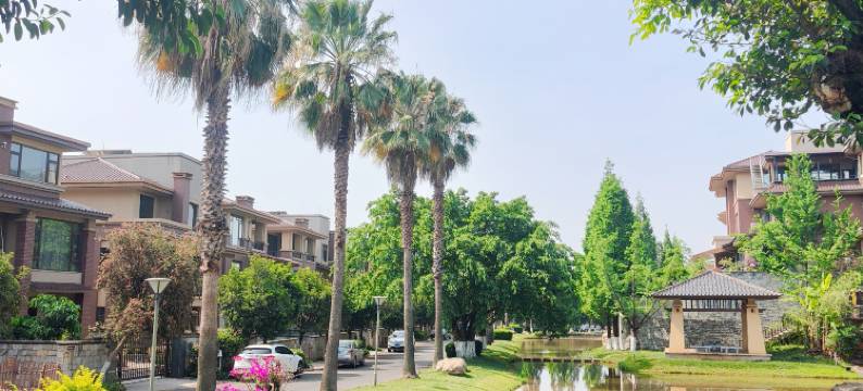 弥勒绮梦美墅花园温泉民宿(湖泉生态园水世界店)图片