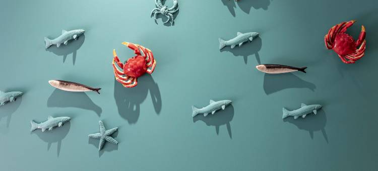 Vincci Bonjardim图片