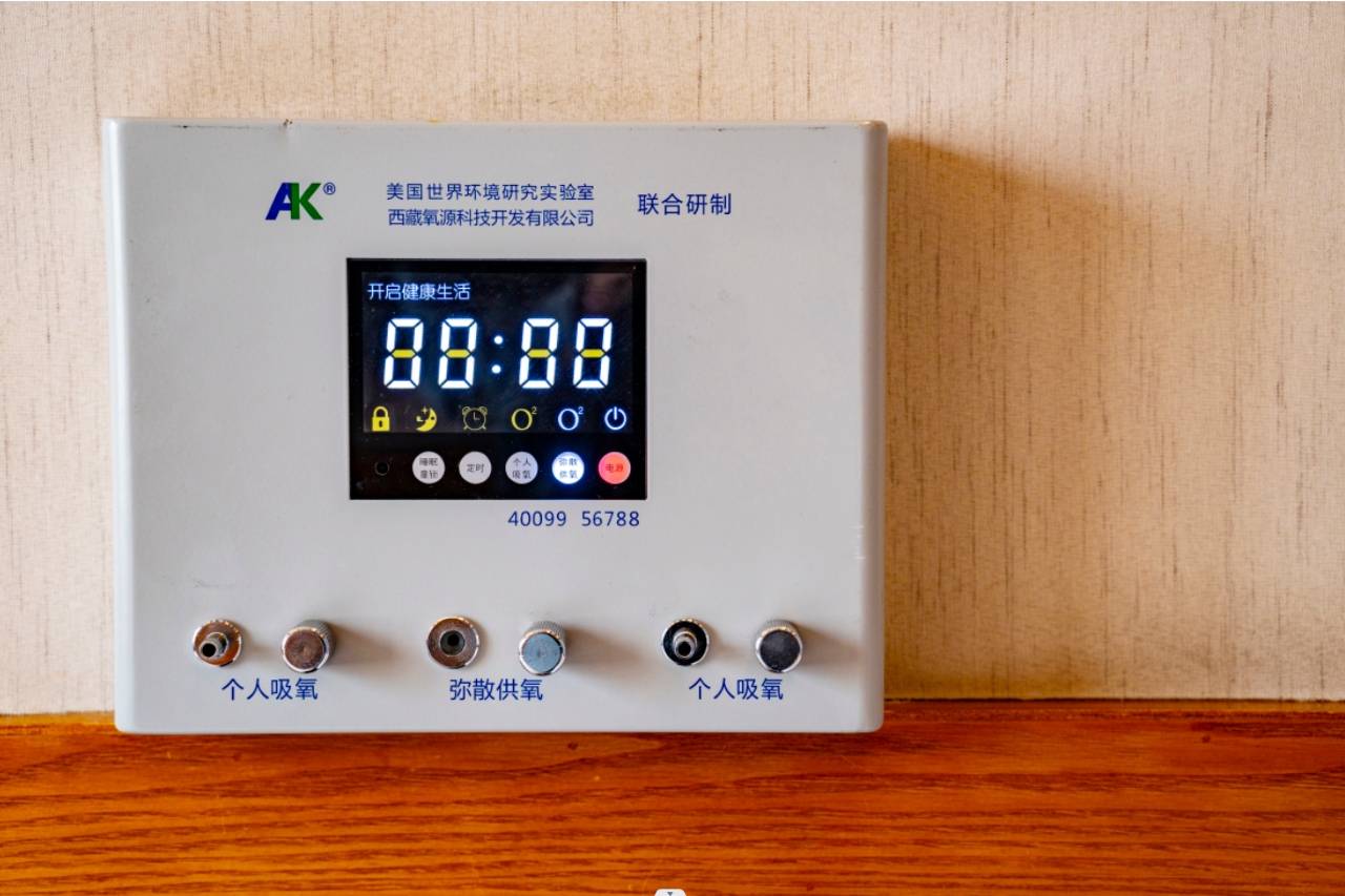 拉萨观山雅舍富氧观景酒店(布达拉宫店)图片