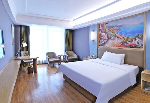 Vienna Hotel (Luchuan High-speed Railway Station) Hotel Overview