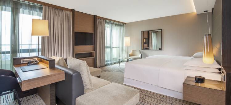 第比利斯美特驰宫喜来登大酒店(Sheraton Grand Tbilisi Metechi Palace)图片