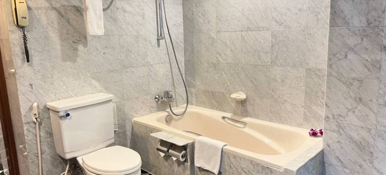 拉玛纳西贡酒店(Ramana Saigon Hotel)图片