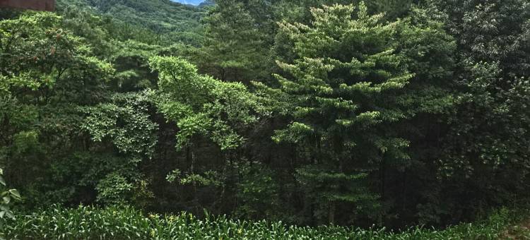 广元云中客避暑山庄特色民宿图片