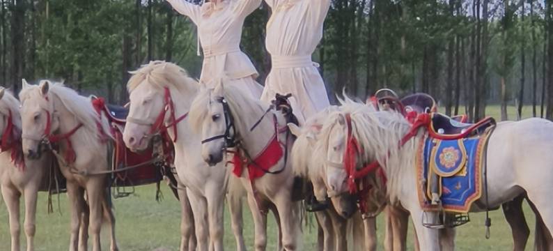 多伦鸿来生态度假区民宿图片