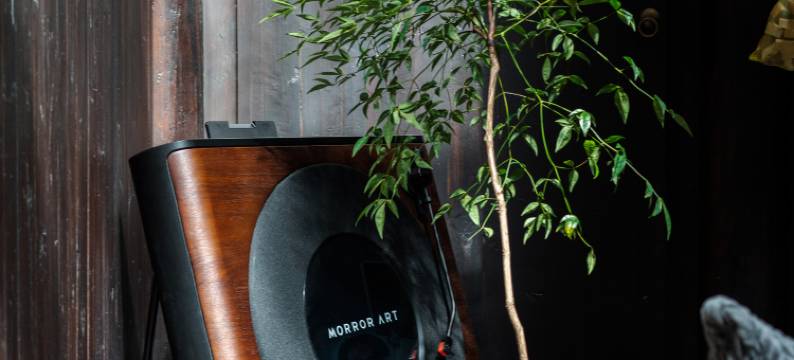 黄山沁园漫步民宿(西溪南古村落)图片