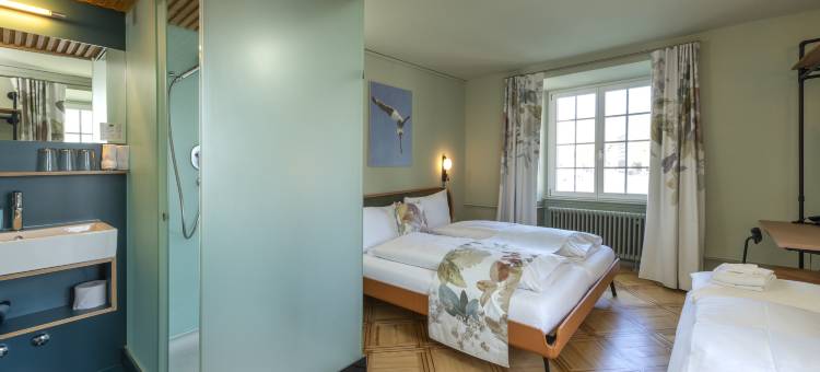 河畔阿勒瑞士品质酒店(Hotel an der Aare Swiss Quality)图片