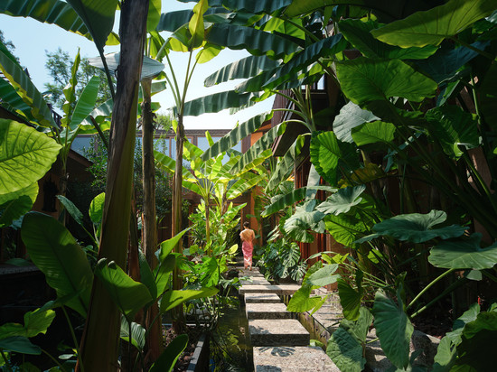 泰妙·雨林spa疗愈民宿