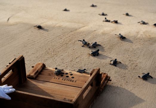 Six Senses Con Dao Hotel Overview