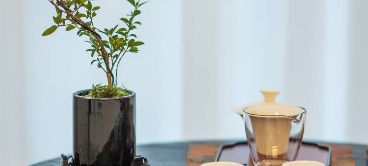 滨溪梅里·山与茶Slowly野在悠舍(三姑度假区店)图片