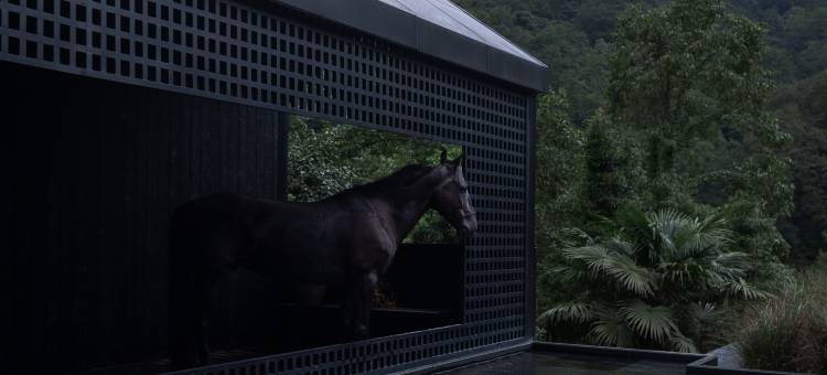 青城山泊岸森氧私汤Villa图片