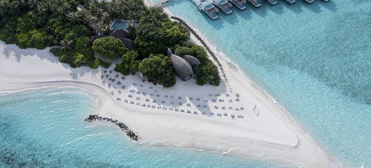 马尔代夫戴加利度假村-豪华全包式(Dhigali Maldives - A Premium All-Inclusive Resort)图片