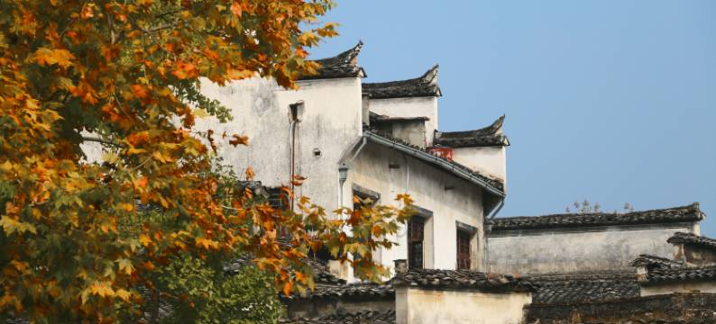 宏村栖梧·旅行精选徽派景观民宿图片
