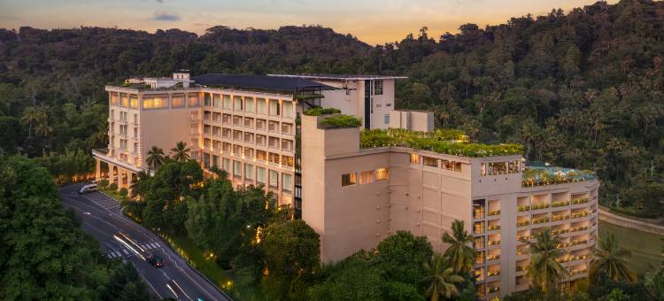 金皇冠酒店(The Golden Crown Hotel)图片