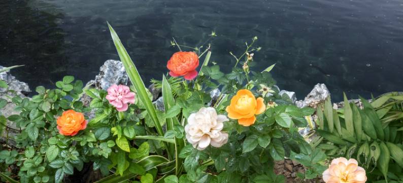 林家大院民宿(西街开元寺店)图片