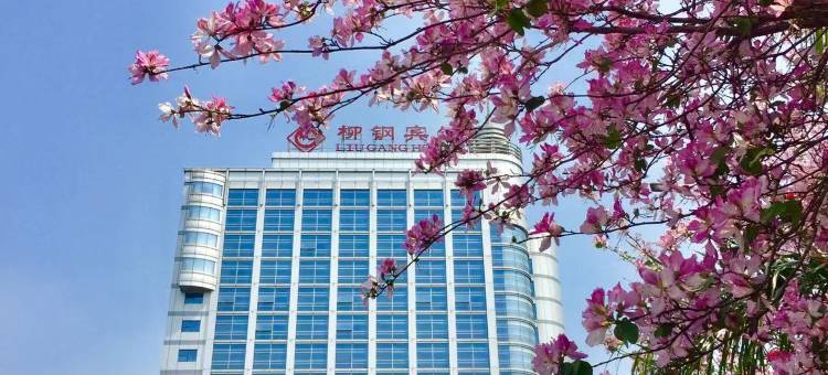 柳州柳钢宾馆(雀儿山水上世界店)图片