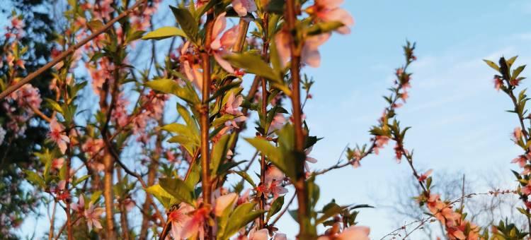 东篱栖隐·Villa轻奢观景度假美宿(上饶望仙谷风景区店)图片