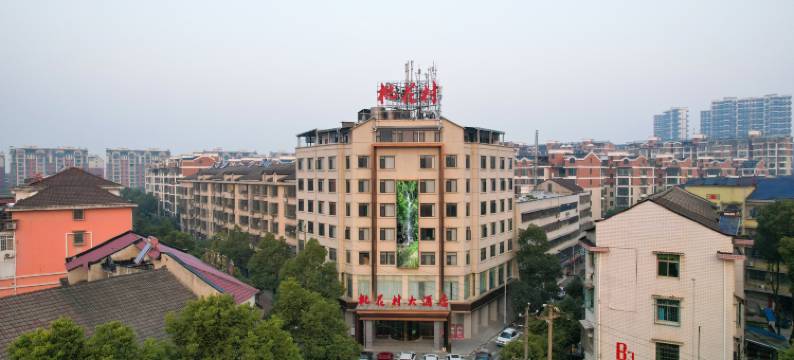 桃江桃花村大酒店图片