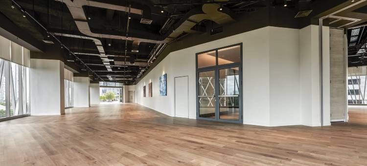 苏迪尔曼探索(Discovery SCBD)图片