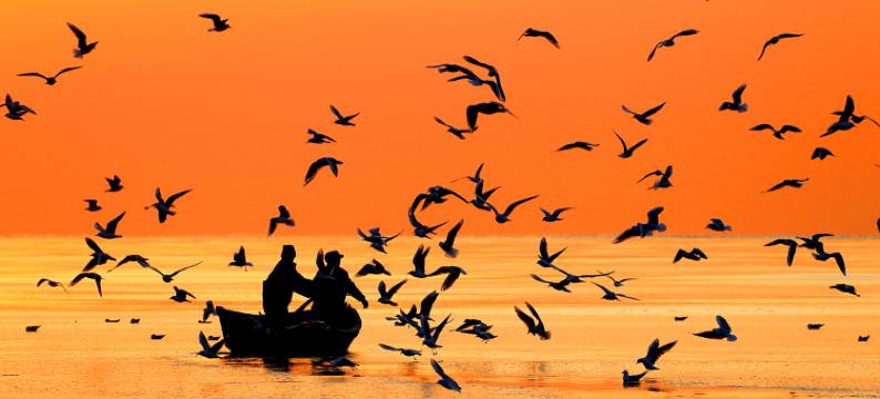 德顺宾馆(北戴河老虎石海上公园店)图片