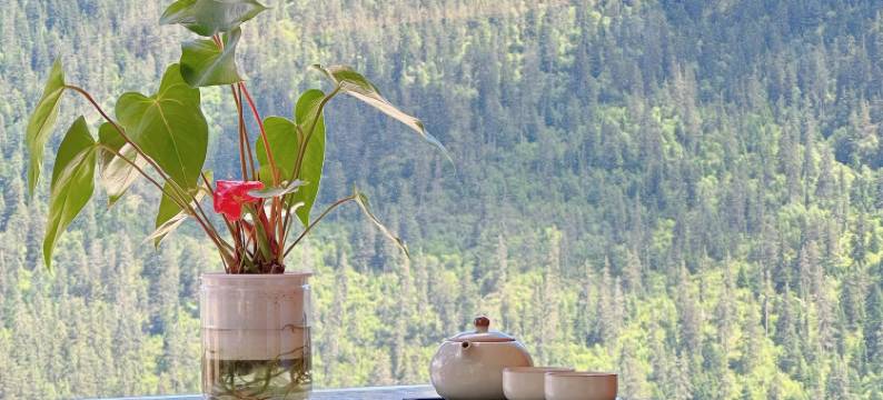 山是山丨扎尕那全域日出观景山居美宿(达日观景台店)图片