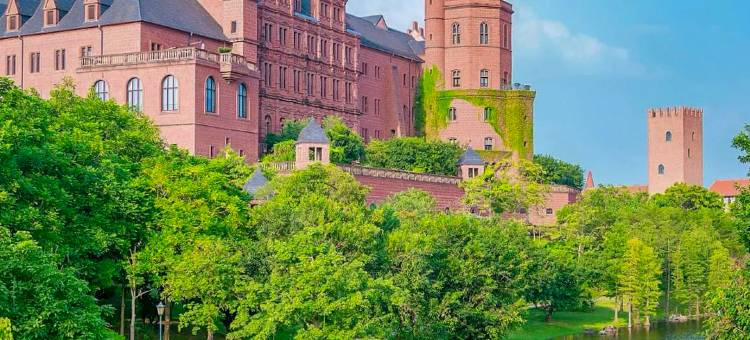 东莞松山湖中集行政酒店图片