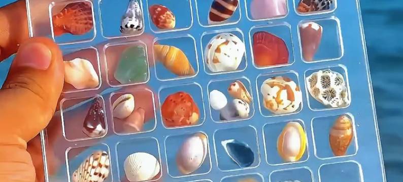 平潭厝野·CottageWild海景民宿图片