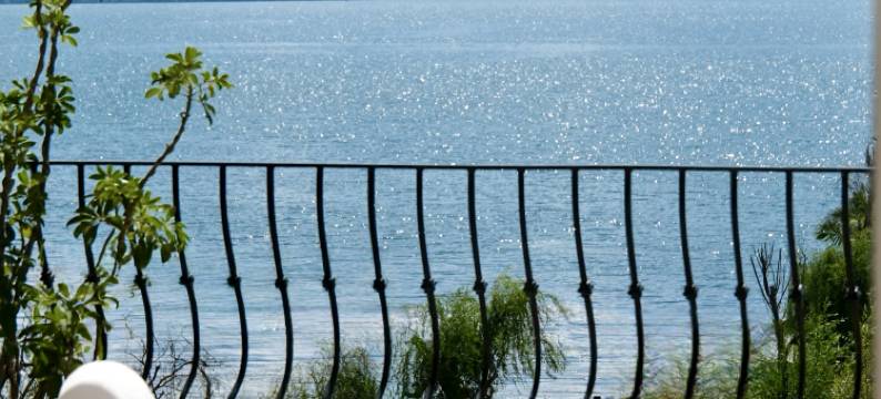 向野而生·荔墅(大理双廊洱海店)图片