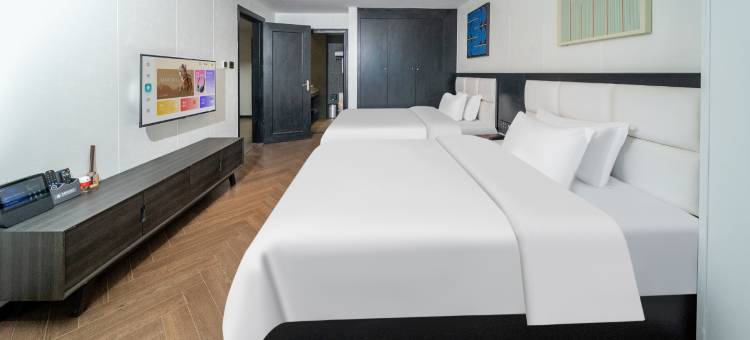 香榭丽舍酒店(陆丰东海岁宝百货店)图片