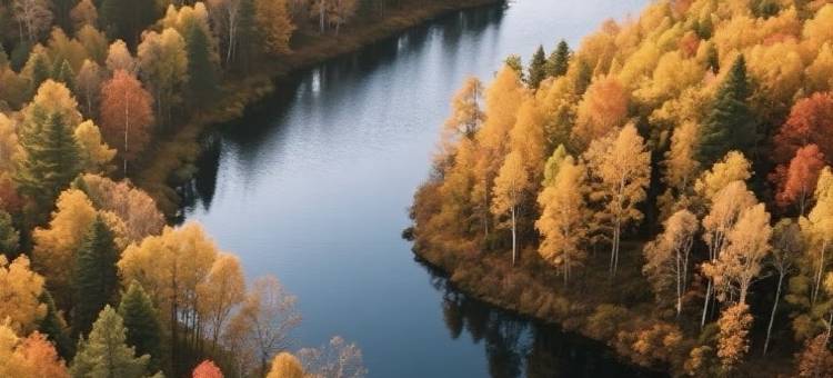 漫庭酒店(兴安国家森林公园店)图片