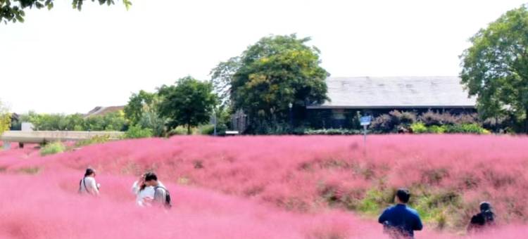 丽呈睿轩酒店(宿迁汽车总站店)图片
