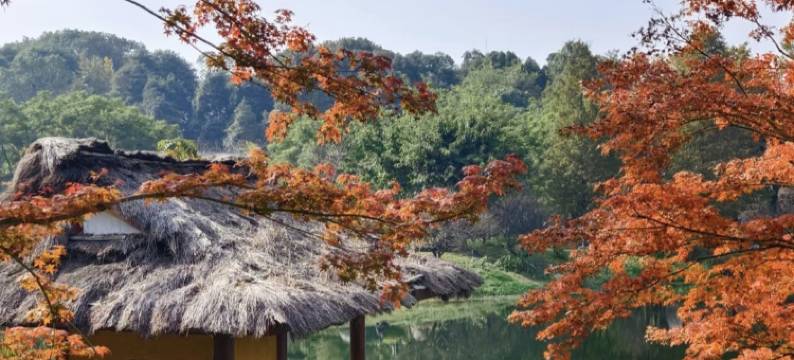 成都浣花锦城酒店(宽窄巷子锦里店)图片