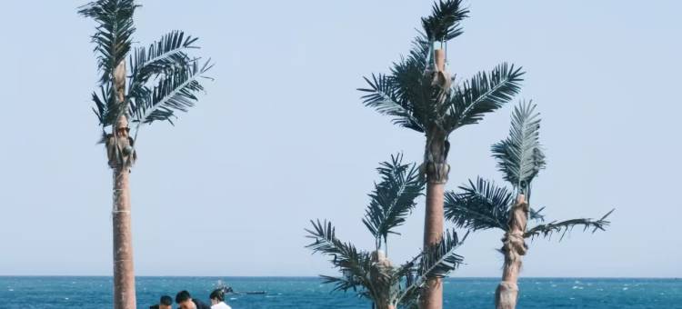 海韵淘缘|SeaView•青山枕碧海•山海入梦观景公寓(国际和平广场店)图片