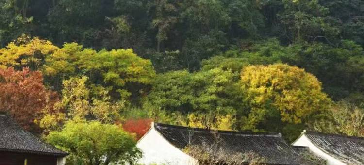 绍兴兰亭璞燊酒店图片