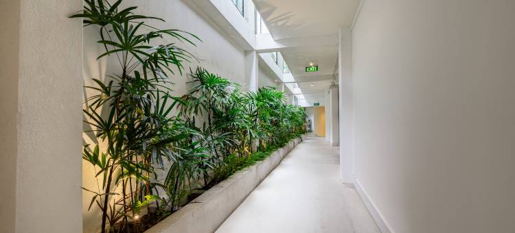 拉文迪什海滩度假村(Lavendish Beach Resort)图片