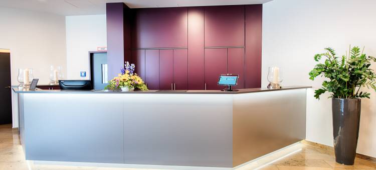 温斯特拉布纽斯塔特 ACHAT 酒店(ACHAT Hotel Neustadt an der Weinstraße)图片