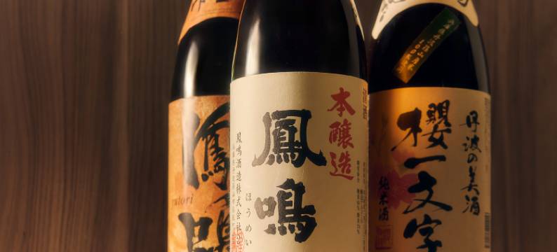 GRANDVRIO酒店 丹波筱山 和藏(Grandvrio Hotel Tambasasayama Wakura)图片