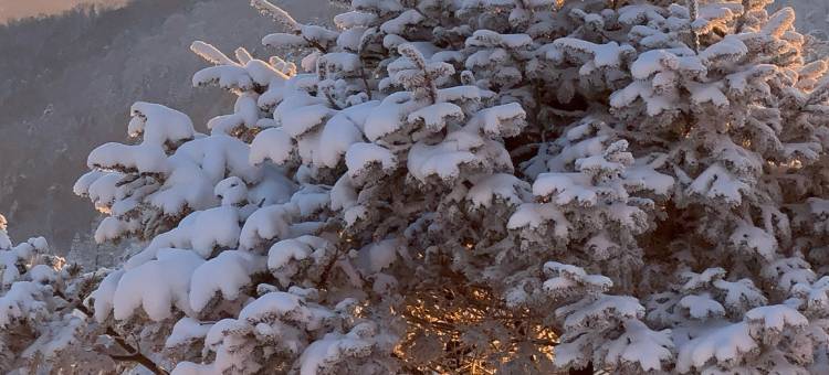 雪谷·Snow Valley幸福驿站(中国雪谷风景区店)图片