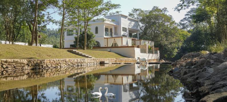 和光·树溪美学民宿图片