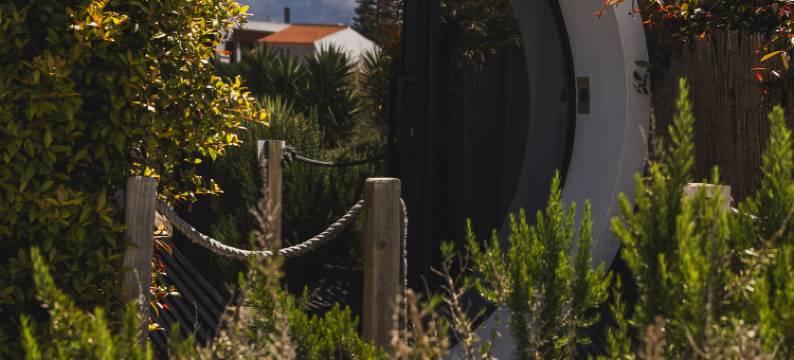 WOT衝浪青年旅舍社交活動(WOT Ericeira Surf Social)图片