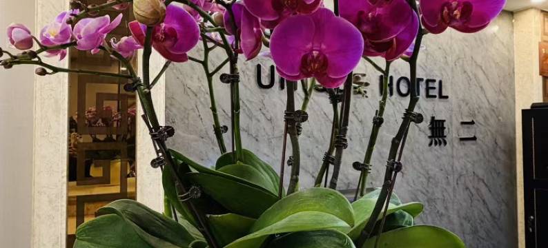 無二(广州北京路步行街公园前地铁站店)图片